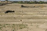 DSC01822