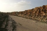 DSC01999
