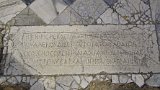 _DSC0453