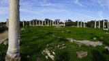 _DSC0473