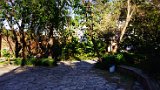 DSC09041