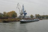 DSC01819