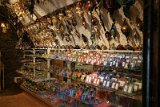DSC01055