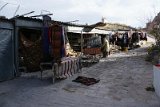 DSC06541