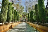 DSC00887
