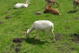 DSC00208