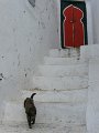 DSC01786