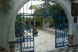 DSC01800
