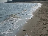 ece Sylt_ 63_11