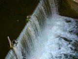 DSCF0016
