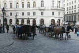 DSC01713