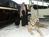 PICT0057